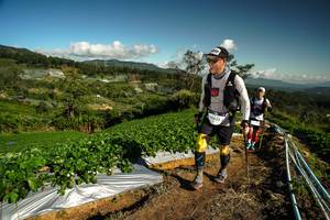 BIB: 
                            <button type="button" onclick="openModal(19123535)" class="btn btn-primary btn-sm float-right btn-popup" data-toggle="modal" data-target=".modal-high-quality">
                        <i class="fas fa-shopping-cart"></i> Add to Cart
                    </button>
                                            <button type="button" onclick="isThisMe(19123535, true)" class="btn btn-success btn-sm float-right btn-popup btn-isme hidden" data-toggle="tooltip" data-placement="bottom" title="นี่คือรูปของคุณใช่ไหม คลิกที่นี่เพื่อเอาเข้าอัลบั้ม">
                        <i class="fas fa-plus"></i> Add to album
                    </button>
                    <button type="button" onclick="isThisMe(19123535, false)" class="btn btn-warning btn-sm float-right btn-popup btn-isnotme hidden">
                        <i class="fas fa-ban"></i> Remove from album
                    </button>